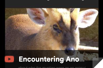 encounteringanotherbeing